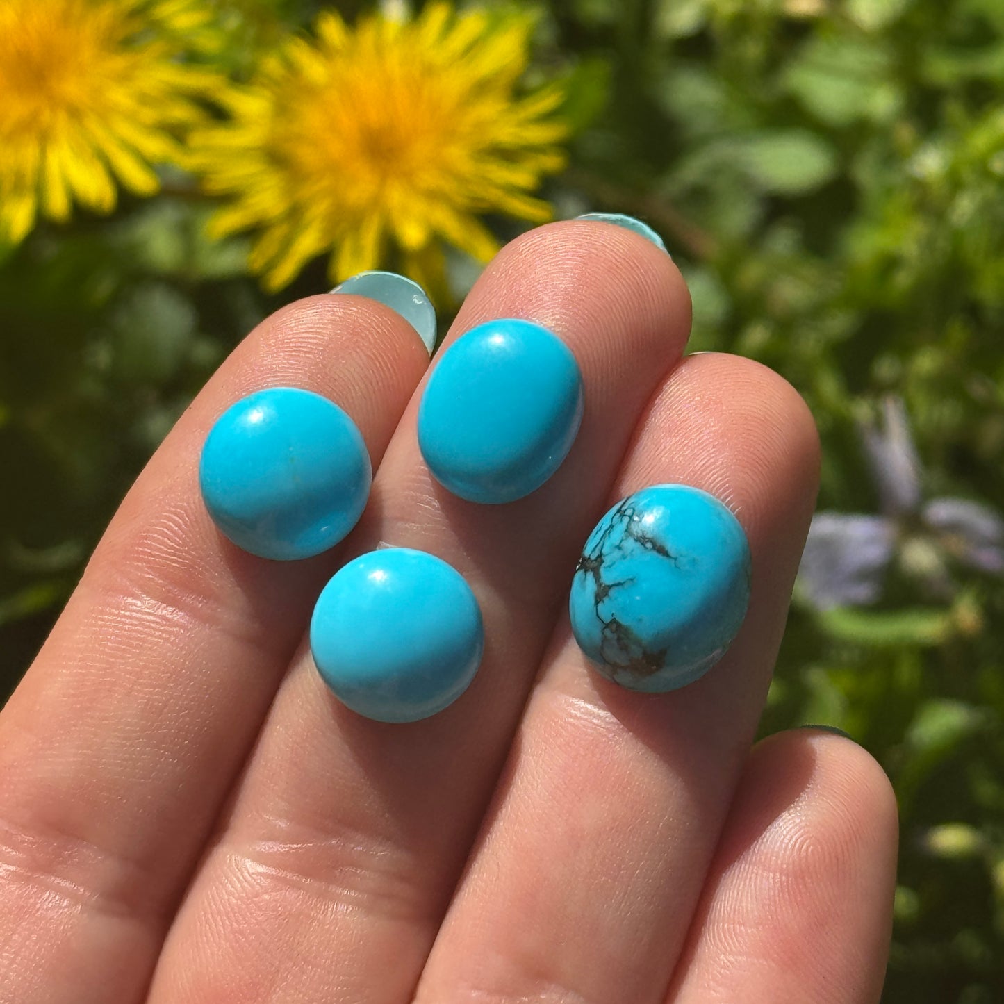 Kingman Turquoise in Clean, Robin's Egg Blue - 12x10mm Oval Cabochon