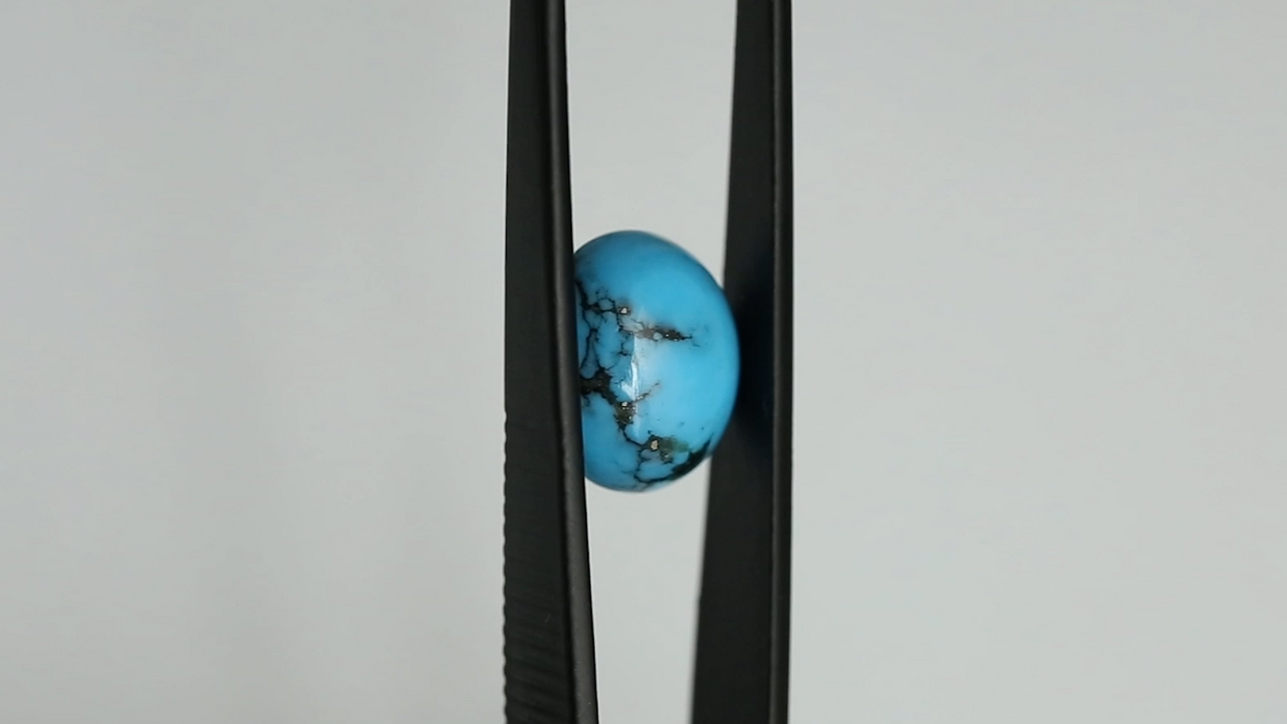 Egyptian Turquoise Stone with Black Matrix - 14x11mm Oval Cabochon