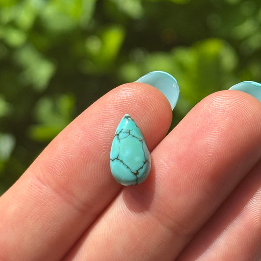 Nevada Turquoise Stone with Black Matrix - 2.74ct Pear Cabochon